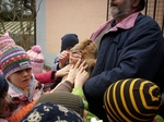 06.jpg