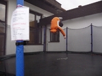 115.jpg