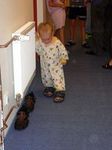 img012.jpg