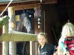 img044.jpg